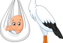 ΓΕΝΝΗΤΟΥΡΙΑ